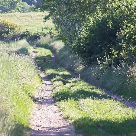 D'hôtes Le Moulin D'encor Seysses-Saves