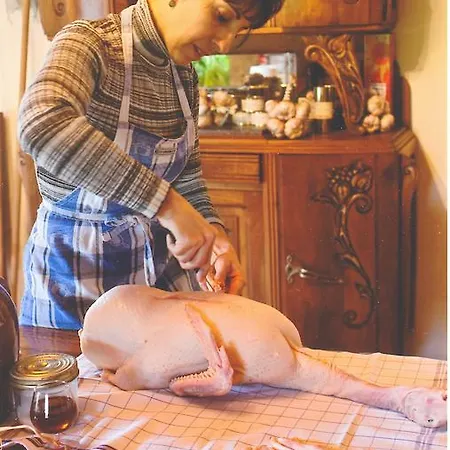 D'hôtes Le Moulin D'encor 4* Seysses-Saves