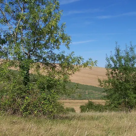 Oda ve Kahvaltı D'hotes Le Moulin D'encor