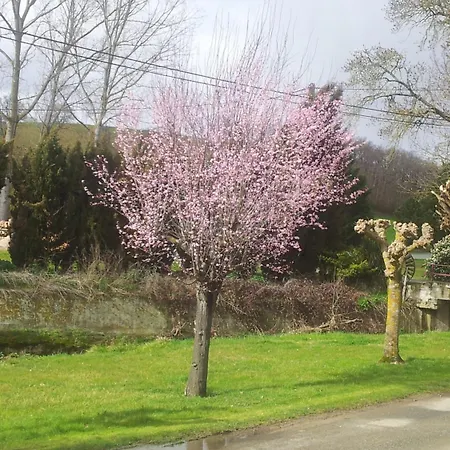 D'hotes Le Moulin D'encor Panzió Seysses-Savès